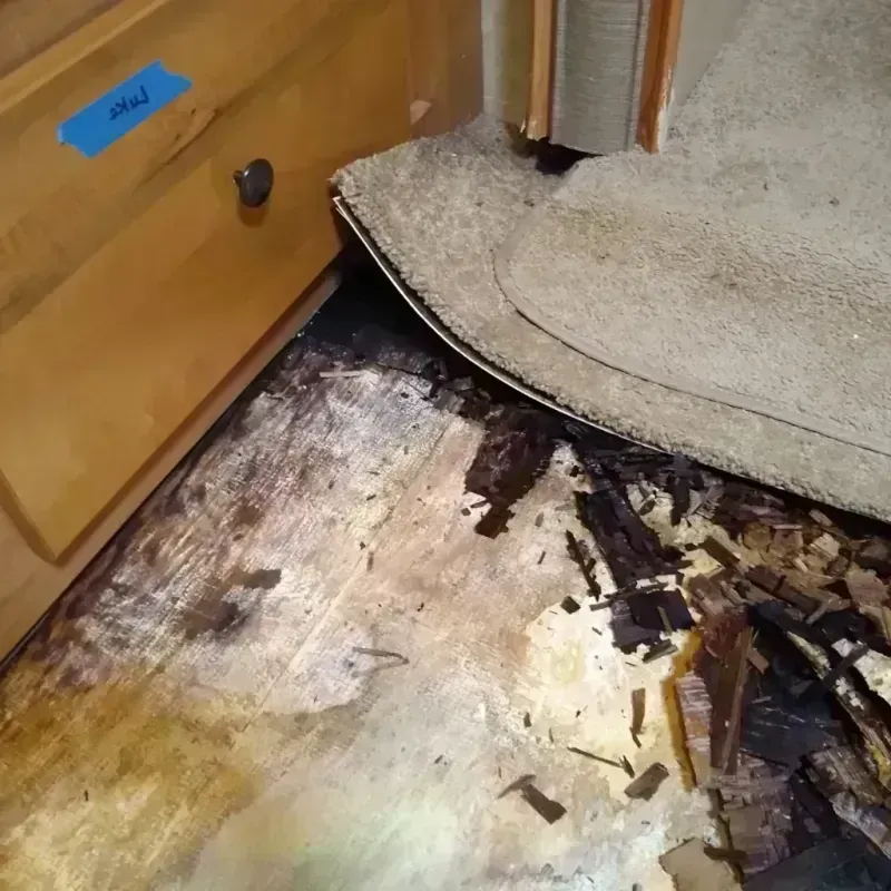 Wood Floor Water Damage in Fairbanks North Star Borough, AK